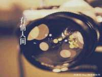 上海众津网络科技有限公司