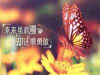 上海众津网络科技有限公司