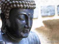 上海众津网络科技有限公司