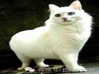 上海众津网络科技有限公司
