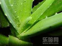 上海众津网络科技有限公司
