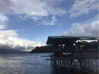 上海众津网络科技有限公司