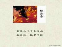 上海众津网络科技有限公司