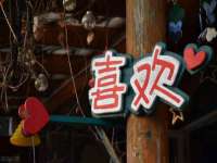上海众津网络科技有限公司