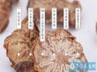 上海众津网络科技有限公司